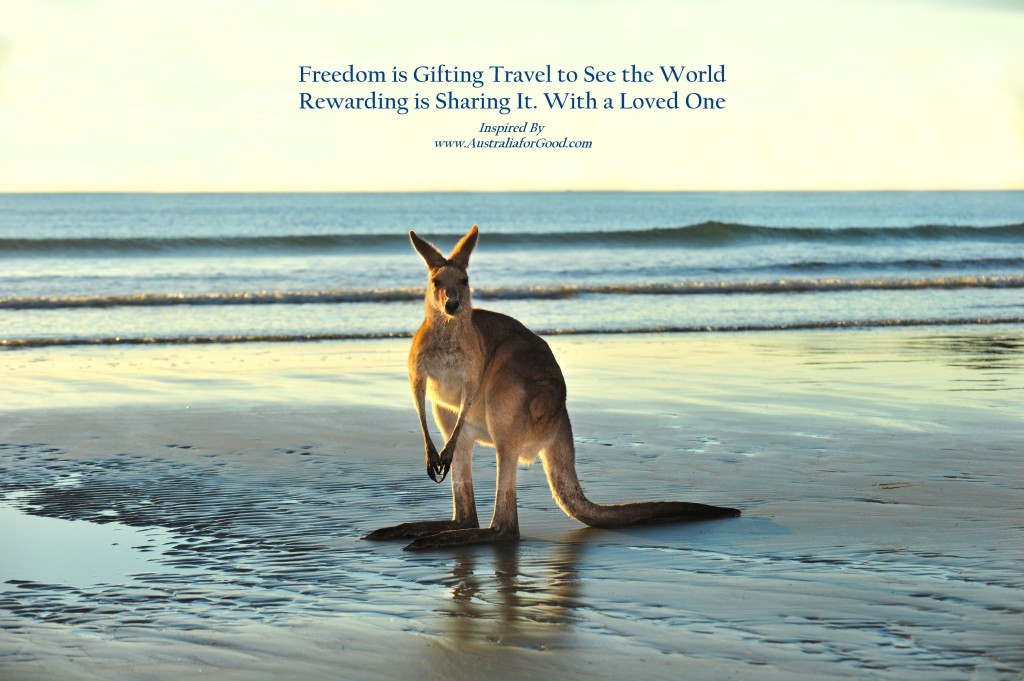 kangaroo in australia for good